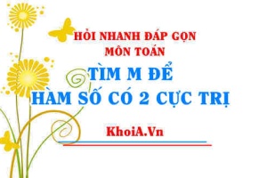 Tìm m để hàm số có cực đại cực tiểu, tìm m để hàm bậc 3 có 2 điểm cực trị? Toán lớp 12 - Hỏi nhanh đáp gọn